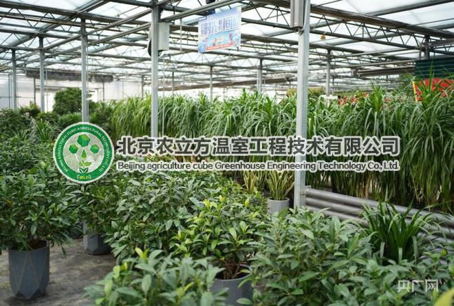 【農(nóng)立方溫室】智慧大棚采收忙
