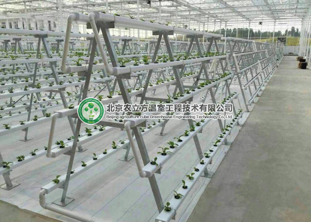 立體無土栽培設(shè)備，菜居然能種在空中！ 